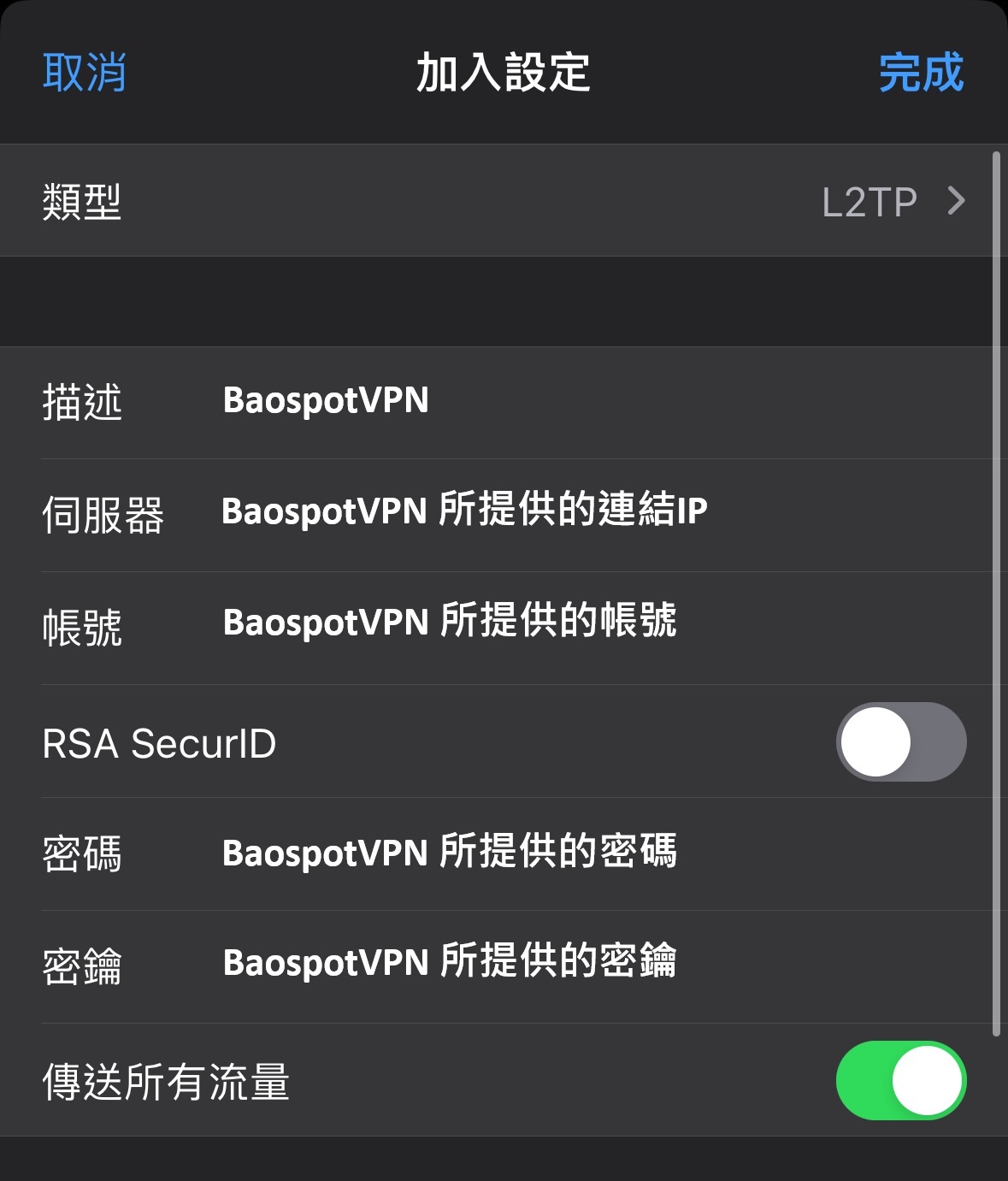 iOS / iPadOS · 填寫 VPN 設定詳情